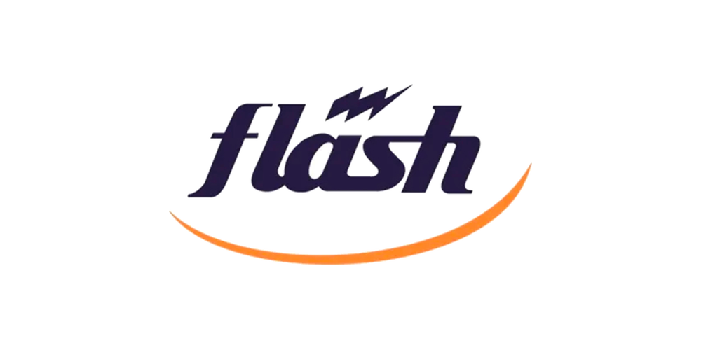 Logo Flash