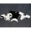 PROTECTOR INGUINAL ORIENTE